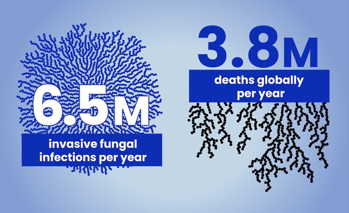 6.5M invasive fungal infections per year - 3.8M deaths globally per year.